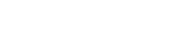 dahua logo